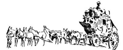 Через край Матабелів воза тягнуло вісім мулів