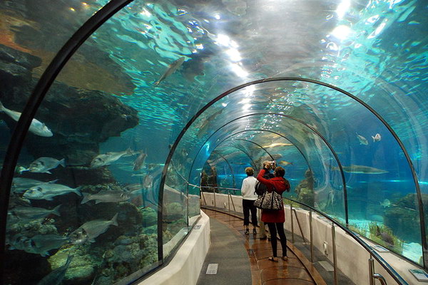аквариум Барселоны