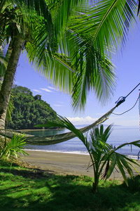 тропическая страна Коста-Рика