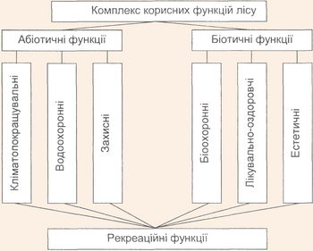 Схема поділу корисних функцій лісу на групи