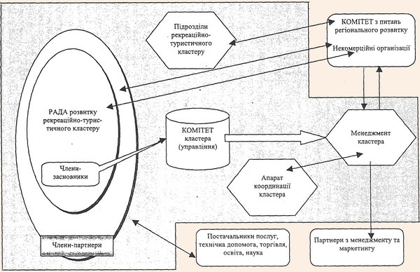 Організаційна структура рекреаційного кластеру