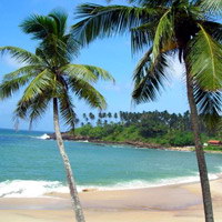 Лучшие страны для зимнего отдыха: Шри-Ланка