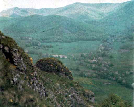 Сілікатна скельна рослинність у Земхтленських горах